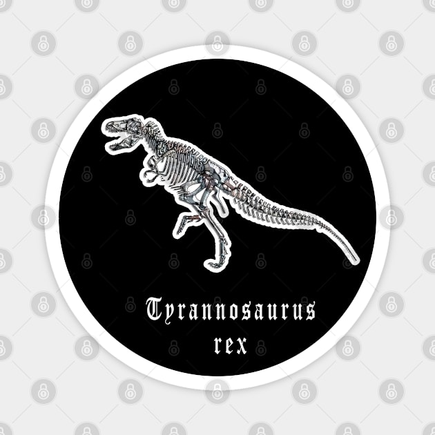 🦖 Fossil Skeleton of a Tyrannosaurus rex Dinosaur Magnet by Pixoplanet
